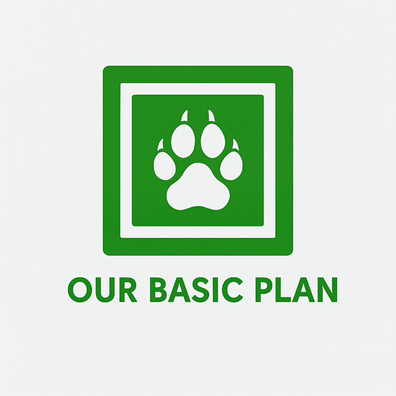 OurBasicPlan 800x800 | Wolferdawg IT Consulting
